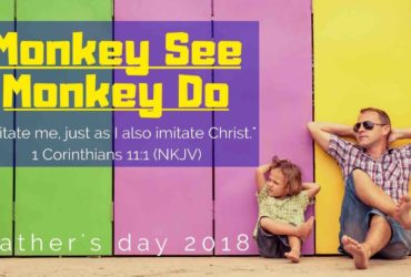 Monkey See Monkey Do