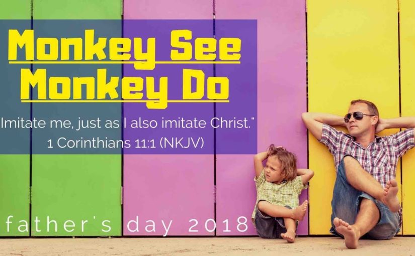 Monkey See Monkey Do