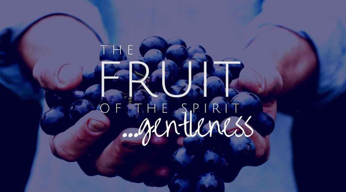 Fruit of the Spirit: Gentleness