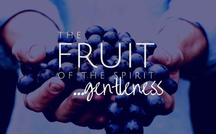 Fruit of the Spirit: Gentleness