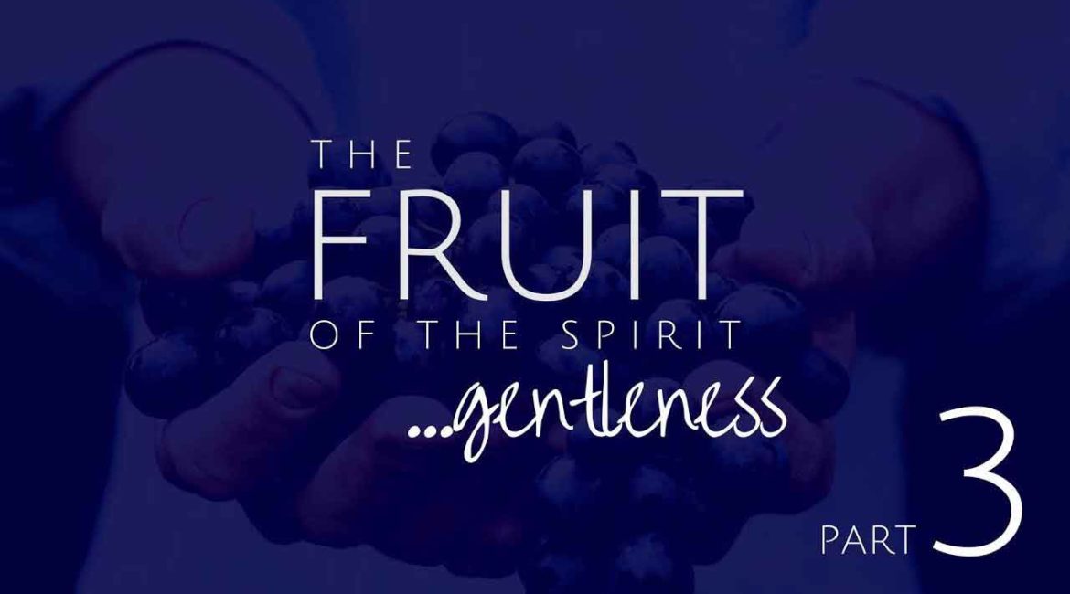 Gentleness: Remedy for Pride