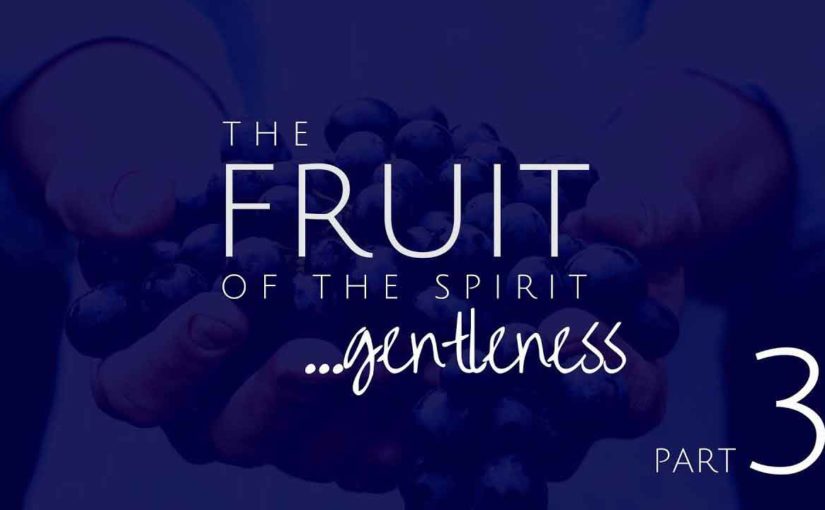 gentleness-remedy-for-pride-low-res