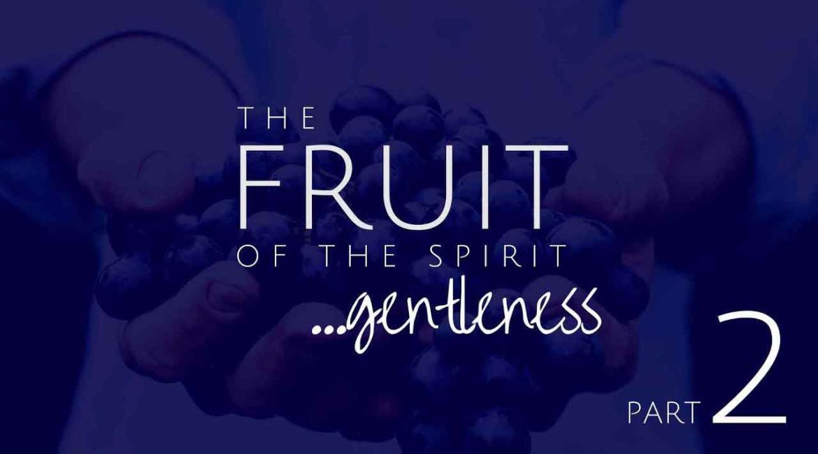 Gentleness Part 2