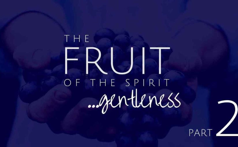 Gentleness Part 2