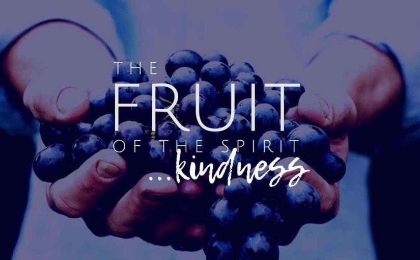 Fruit of the Spirit – Kindness