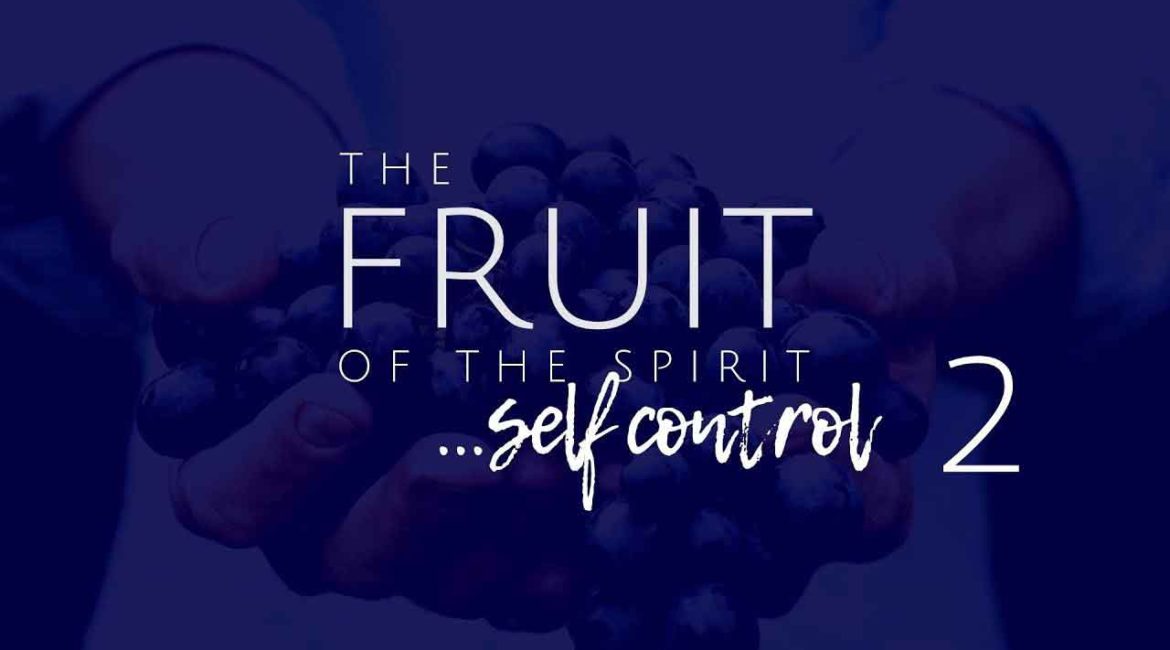 We Run the Race to Win