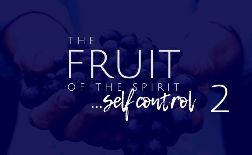 We Run the Race to Win