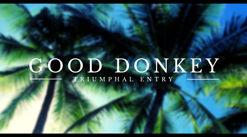 Good Donkey – The Triumphal Entry