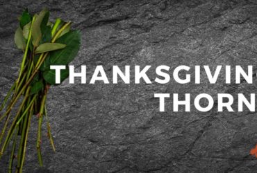 Thanksgiving Thorns